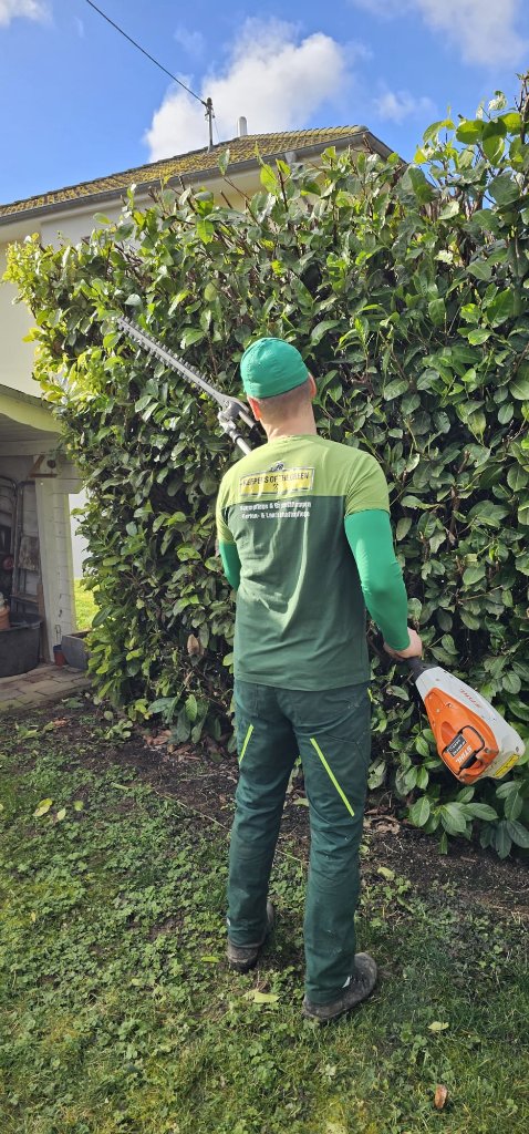 Heckenschnitt mit Teleskop-Heckenschere
