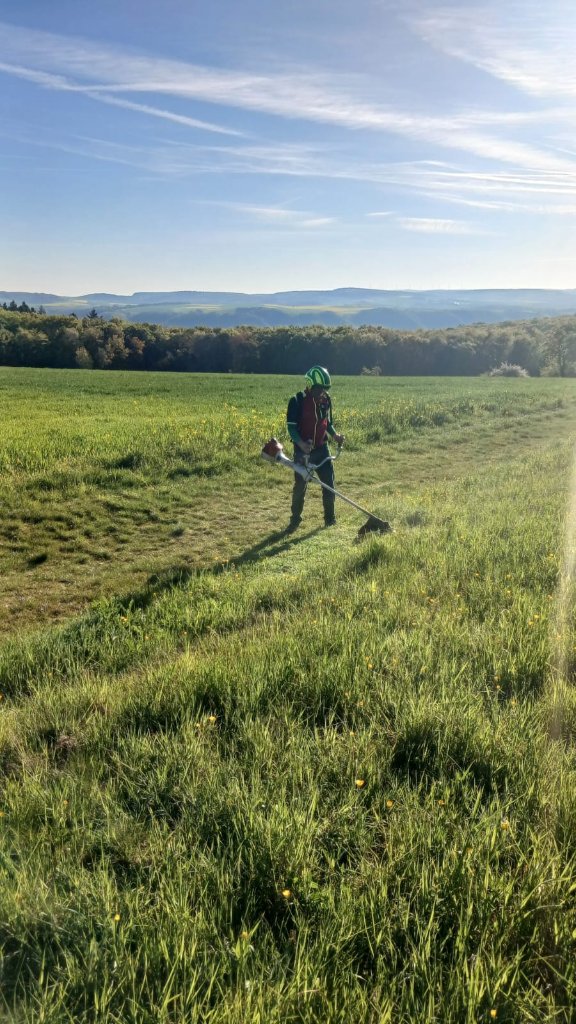 Flächenmahd auf weitläufiger Wiese