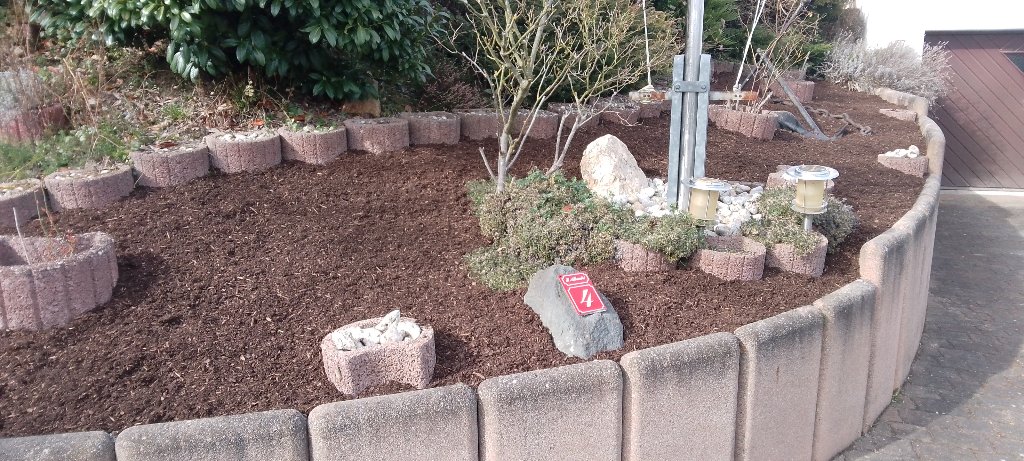 Gepflegtes Rundbeet mit Mulch und Bepflanzung