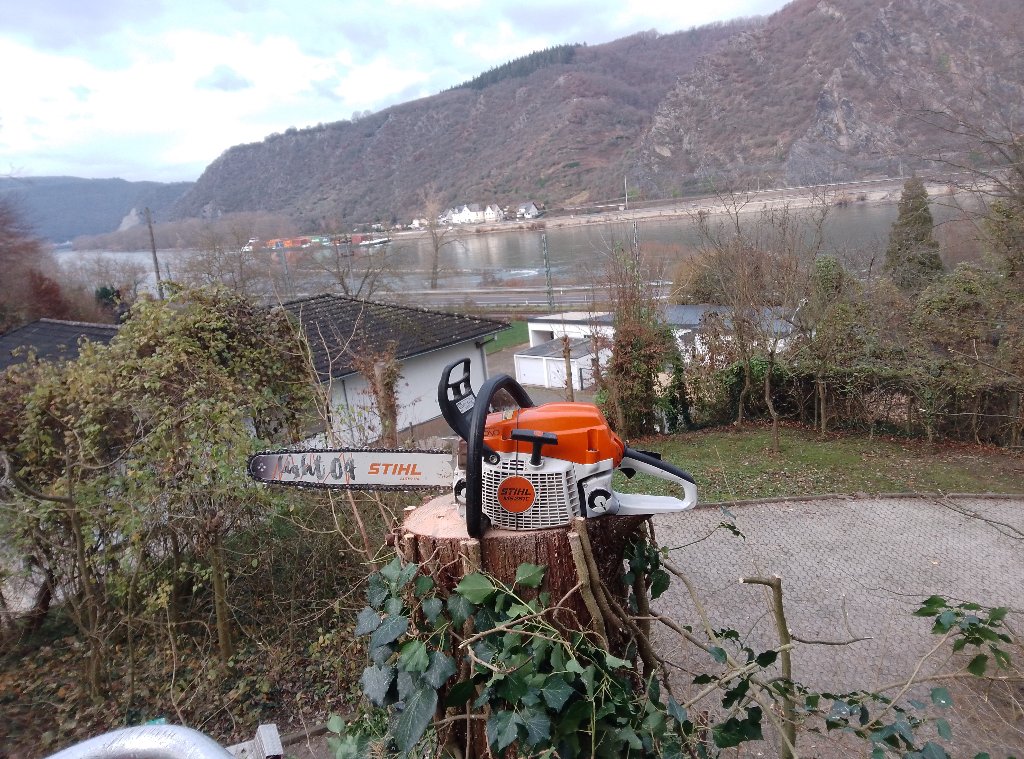 Motorsäge nach der Baumfällung am Rhein