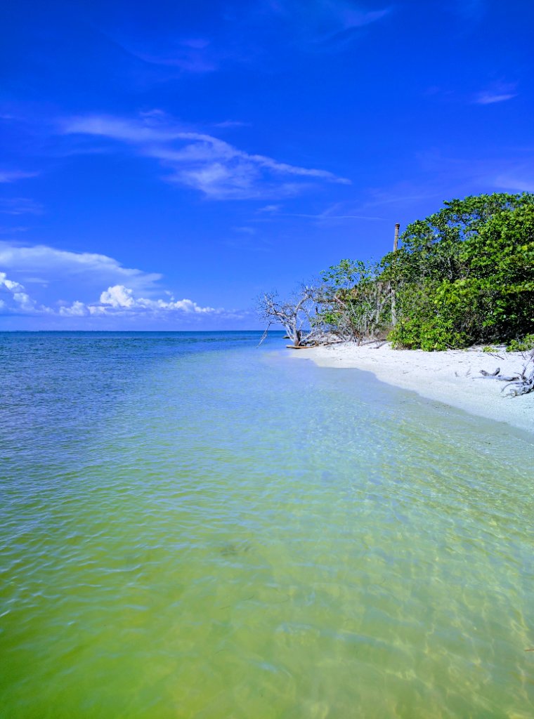 Manasota Key shoreline on a blue-sky day