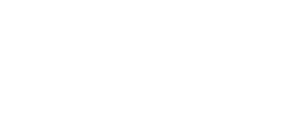 Fundació Pinnae