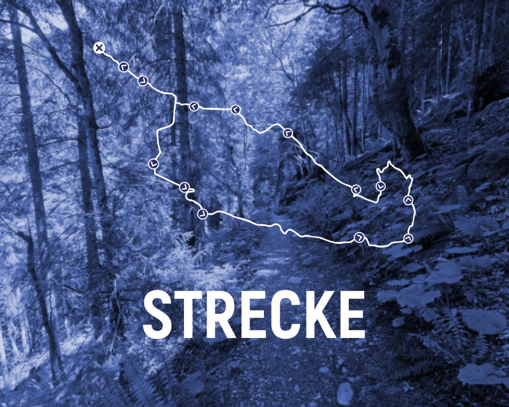 Strecke