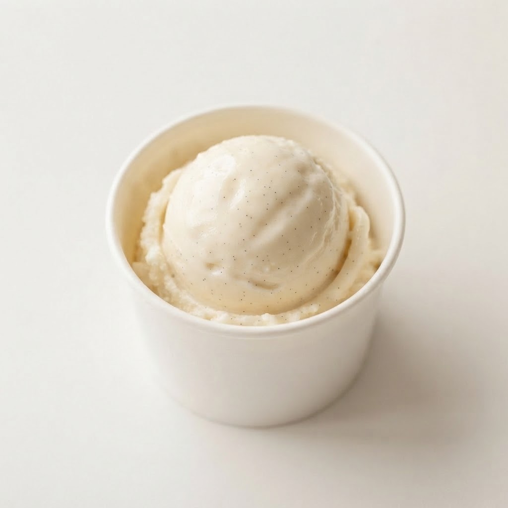 Gelato Cup - 1 Scoop - Single scoop of premium gelato. Flavors: Vanilla • Chocolate • Dulce De Leche • Creamy Coconut available at Pickle Bites Hollywood FL