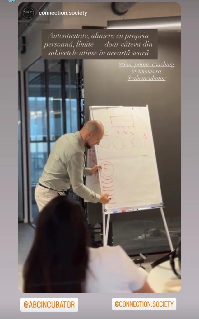 Ion Pițoiu   Intervenții în Organizații