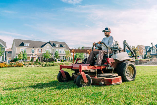 Professional lawn mowing with stripes