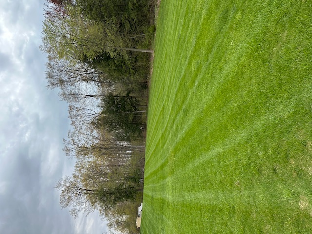 Perfectly striped commercial lawn