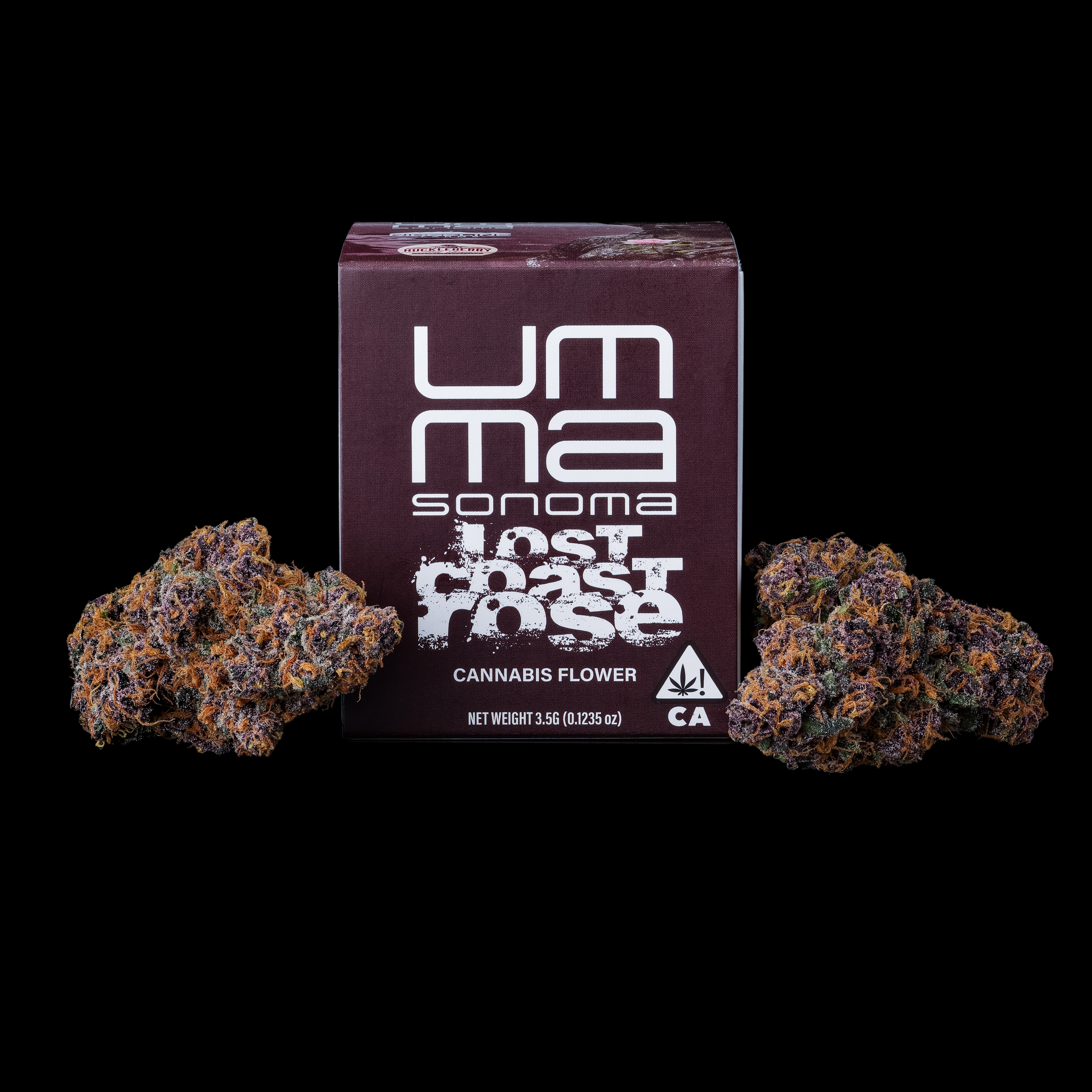 Lost Coast Rose packaging and flower