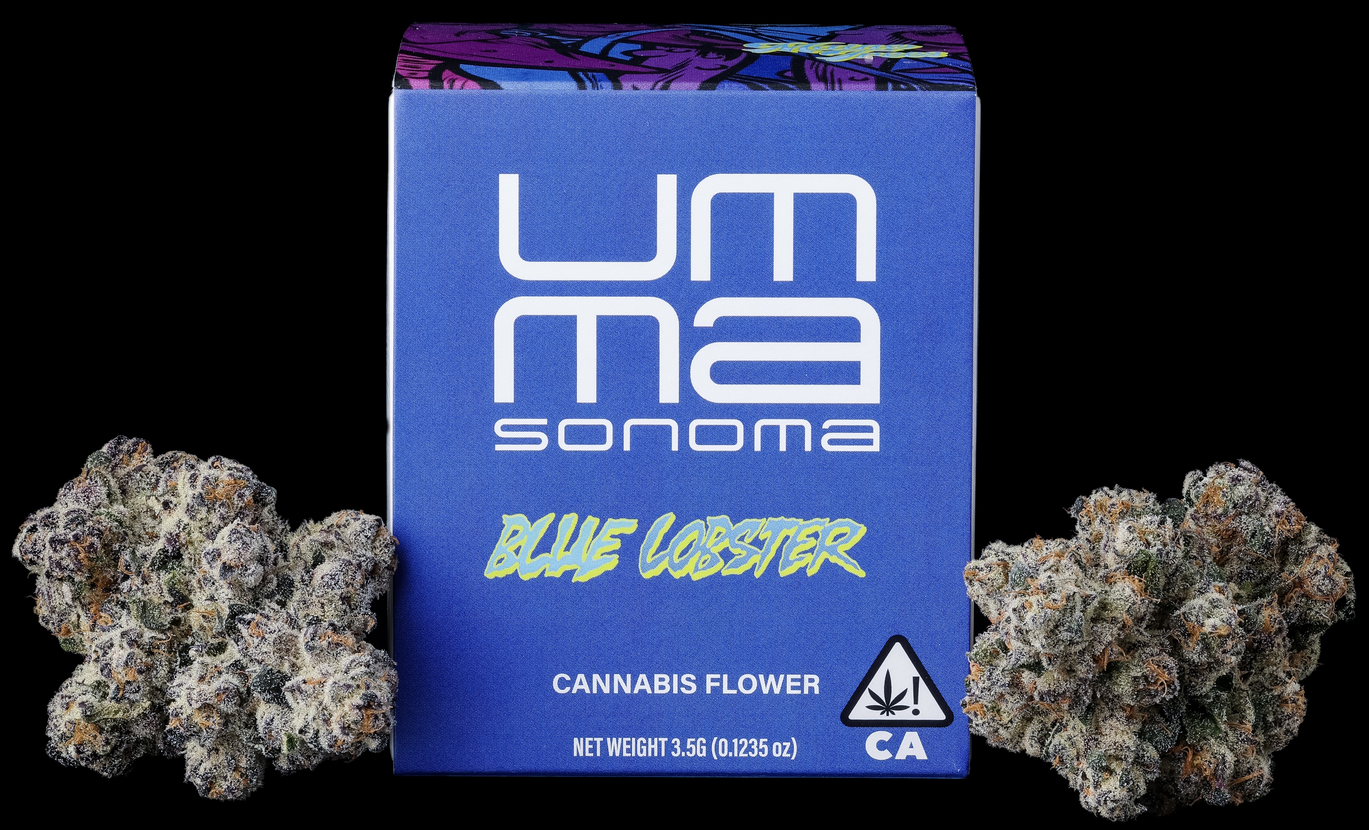 Blue Lobster
