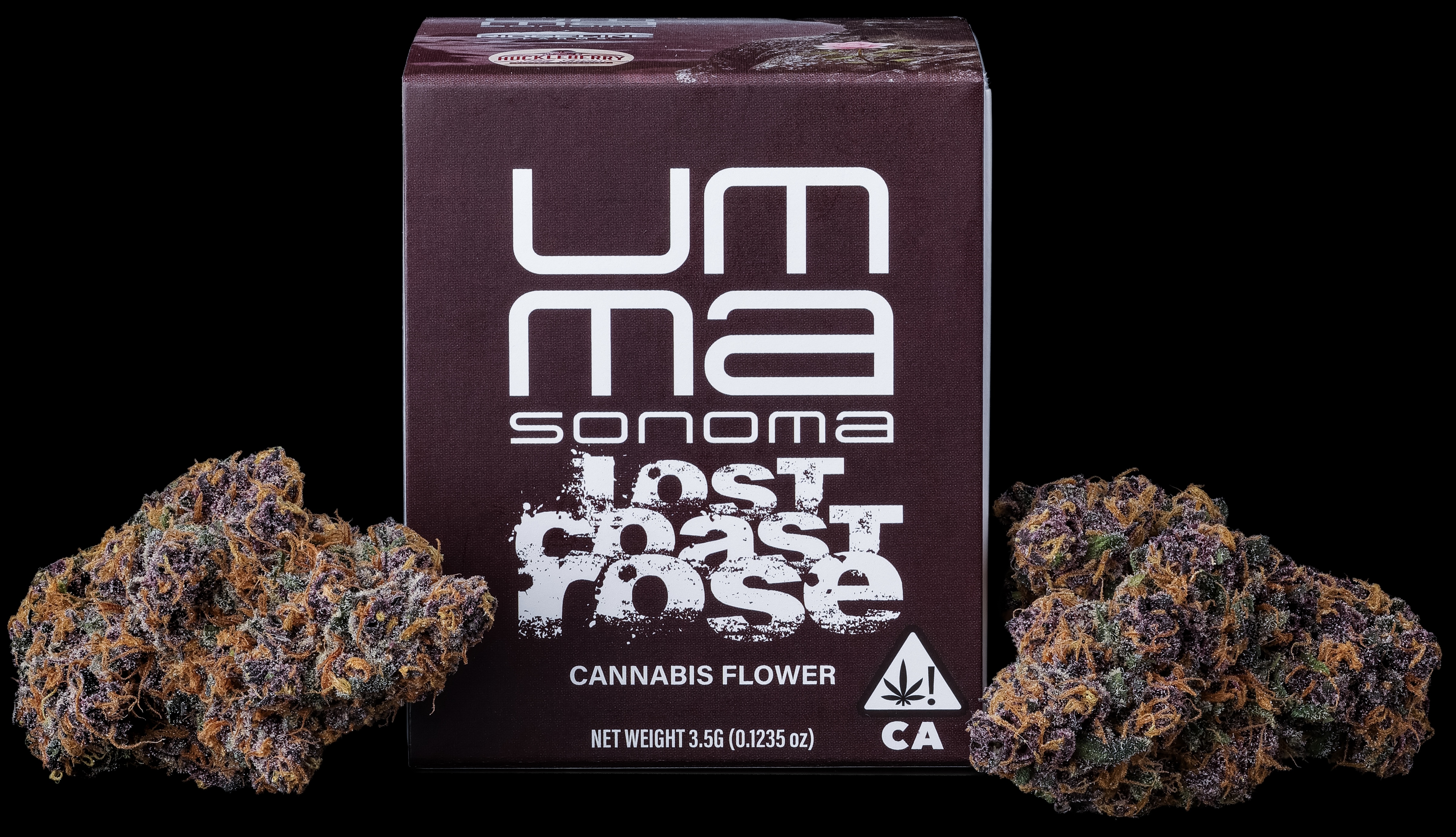 Lost Coast Rose