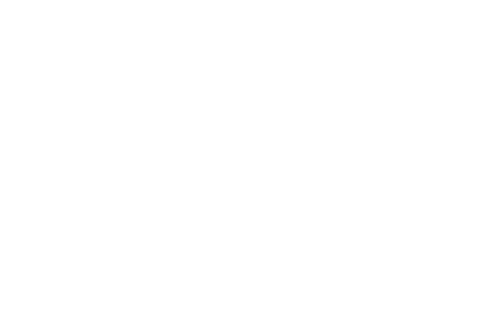 Fleet Trucks & Vans