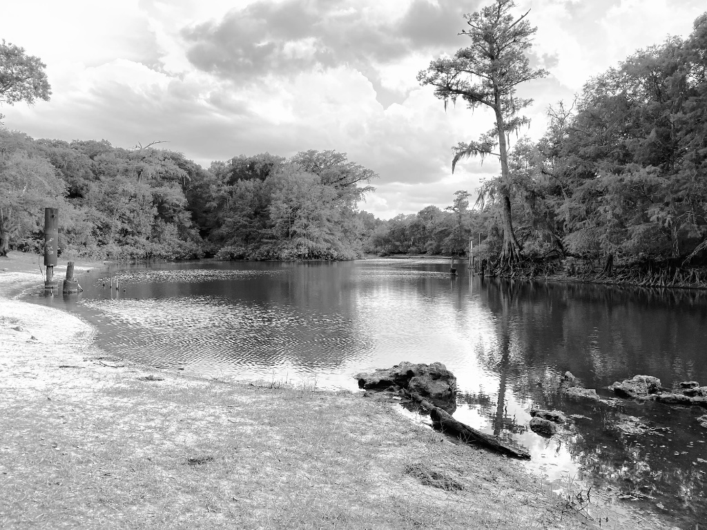A quiet riverbank lined with trees