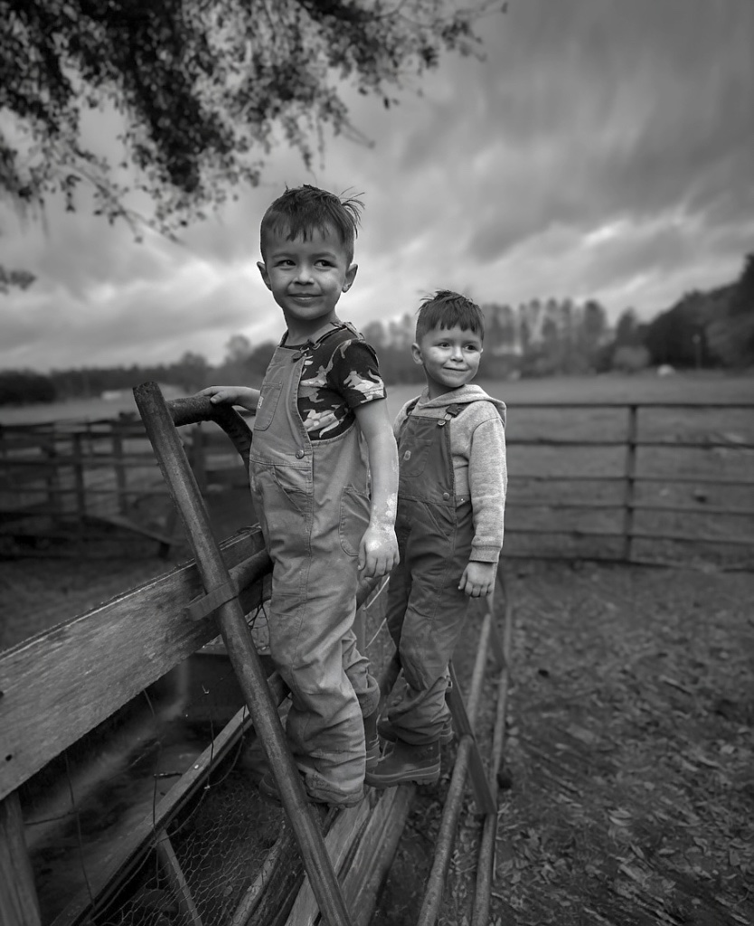 Two little guys leaning on the wooden farm gate together, both watching the same horizon