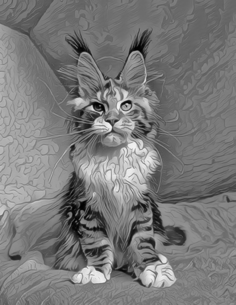 A stylized portrait of a Maine Coon cat