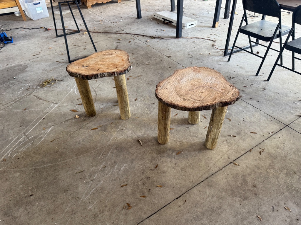 Log Slab Side Tables — a pair of rustic side tables made from raw log slices on branch legs