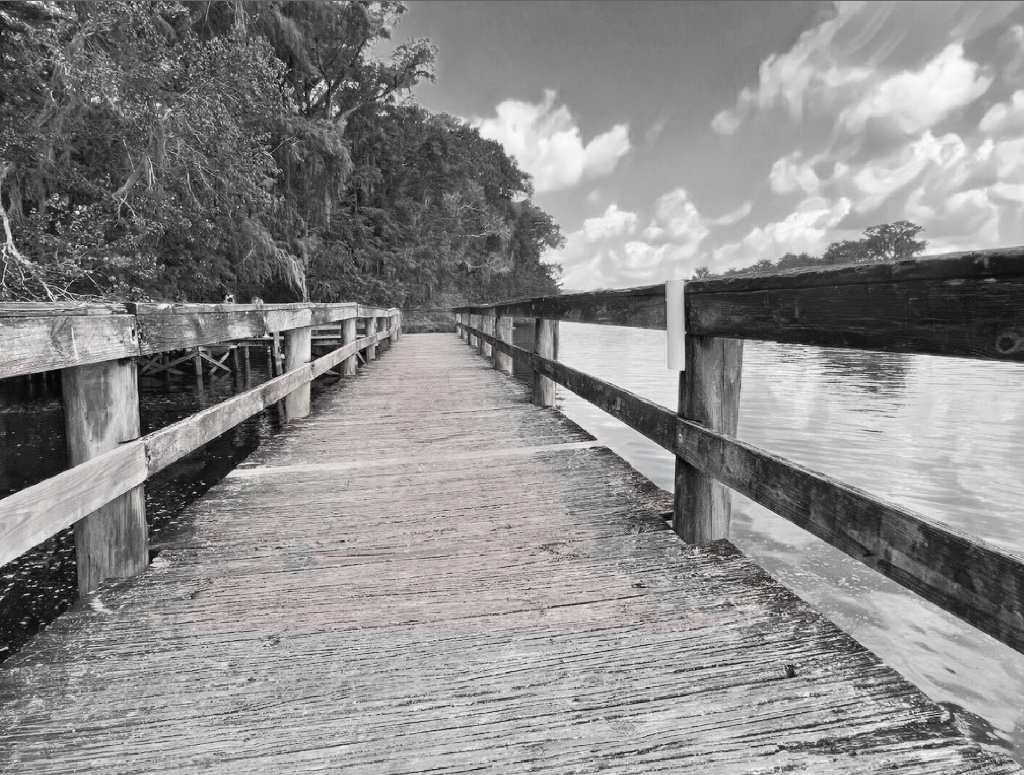 A wooden boardwalk stretching over the water
