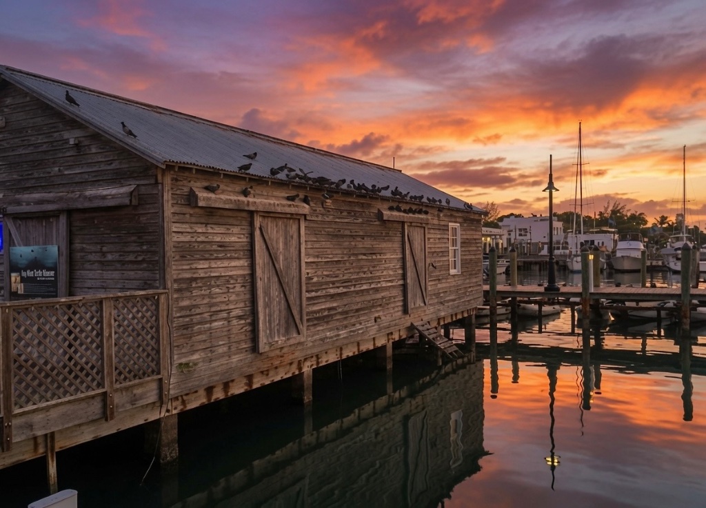 The weathered Key West Turtle Museum boathouse on the water's edge at sunset, birds perched along its roofline and sailboats docked beyond