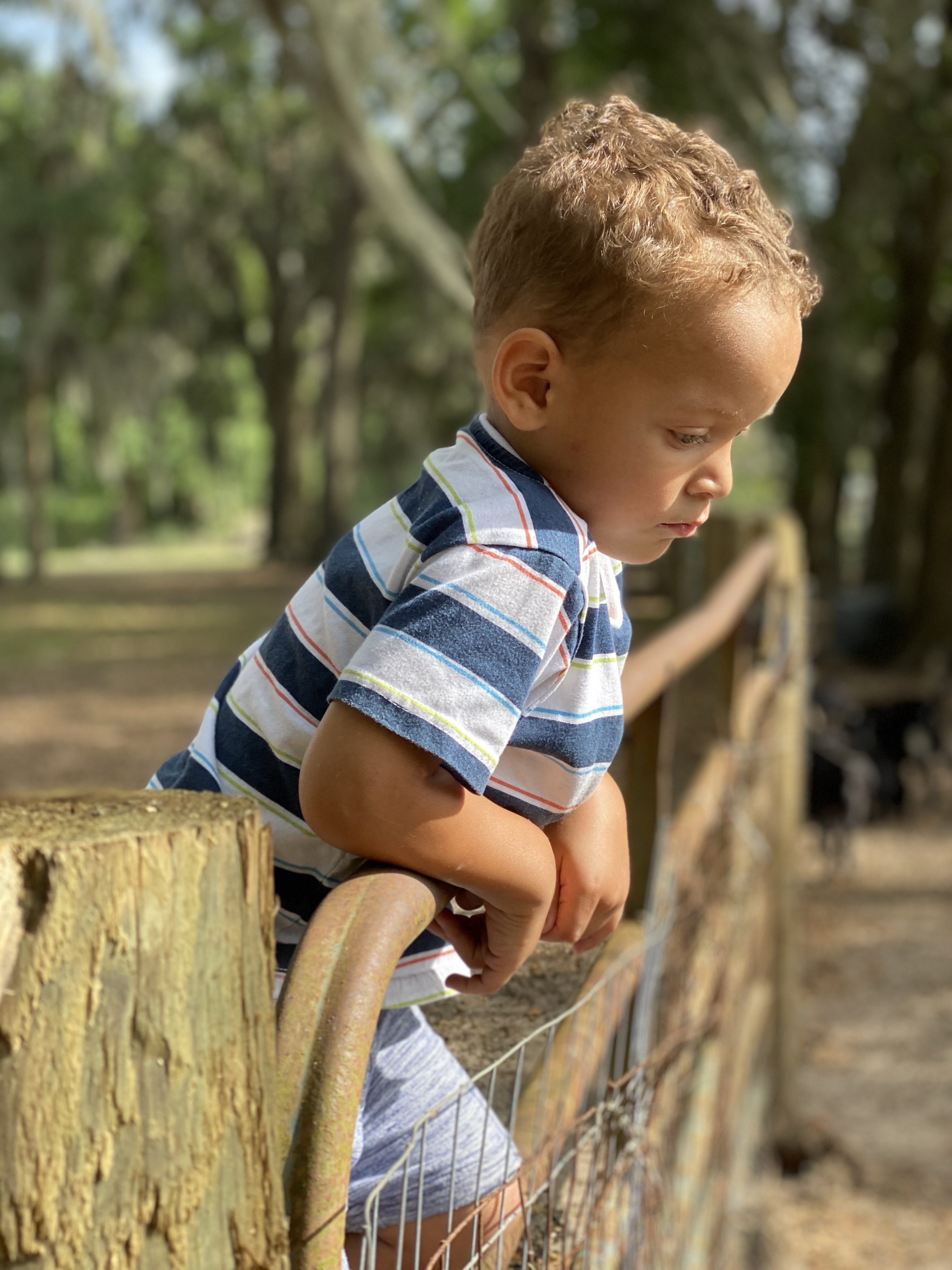 A boy in a striped shirt leaning on the fence rail in profile, contemplative in the golden afternoon light