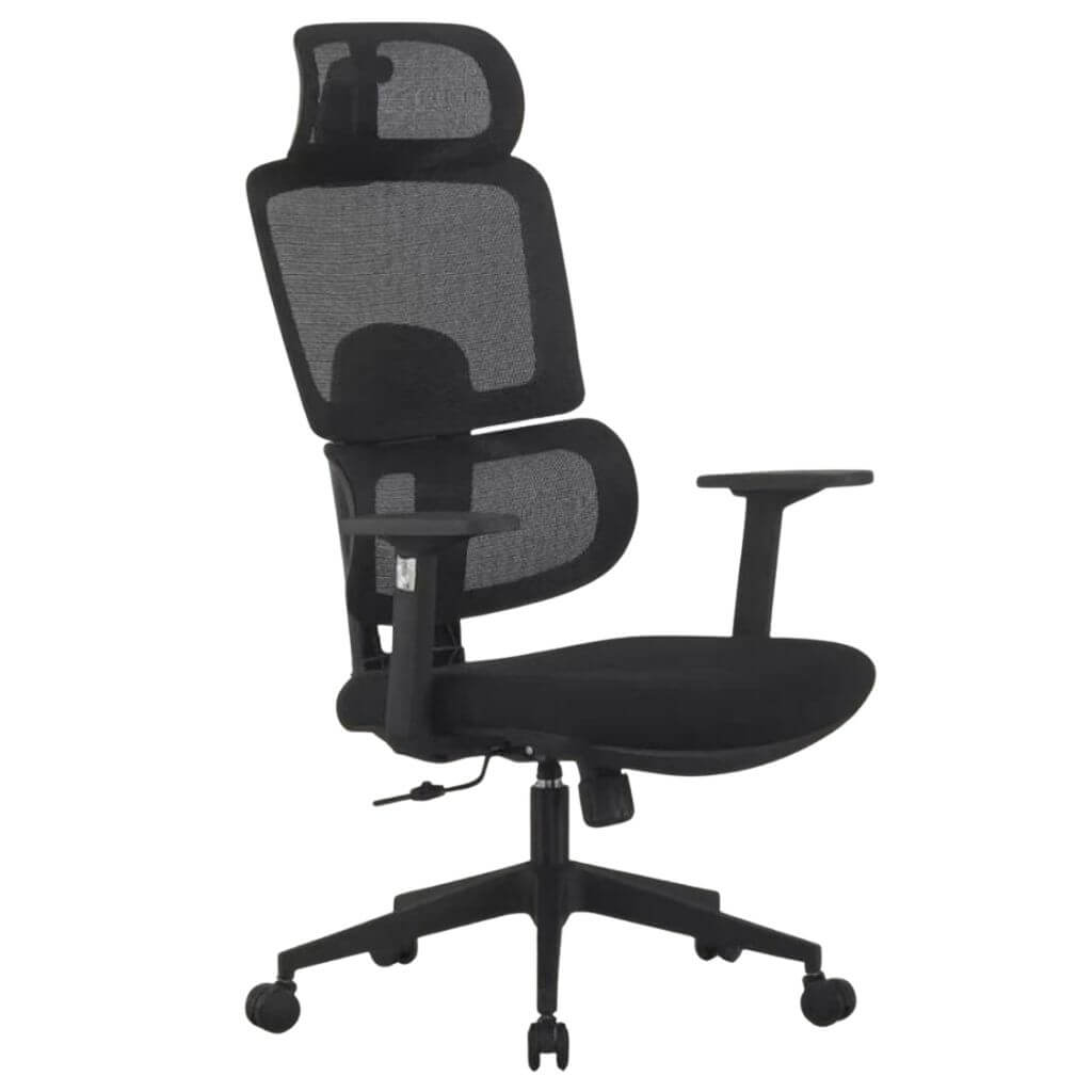 Black Ergonomic Office Chair with Headrest