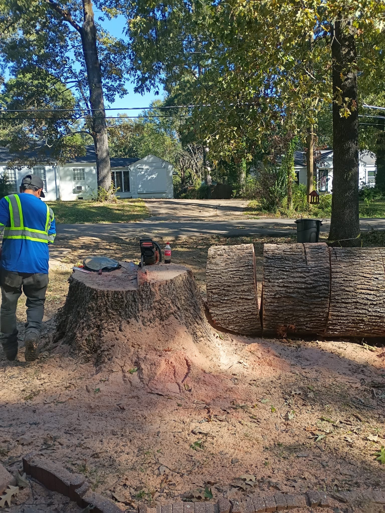 Stump Grinding