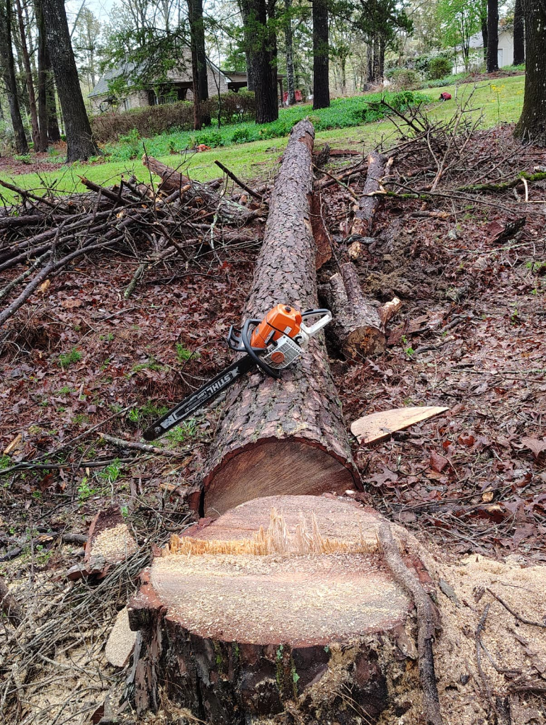 Tree Removal