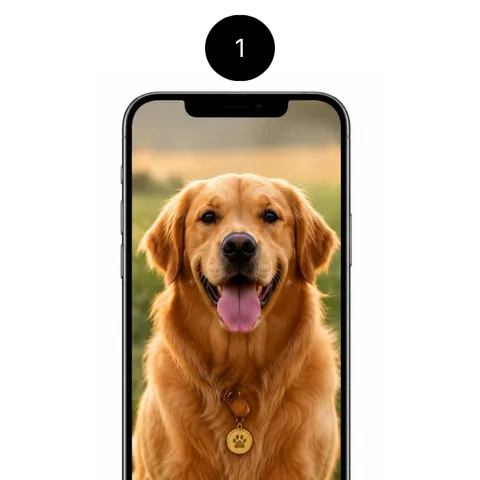 Upload your dog photo