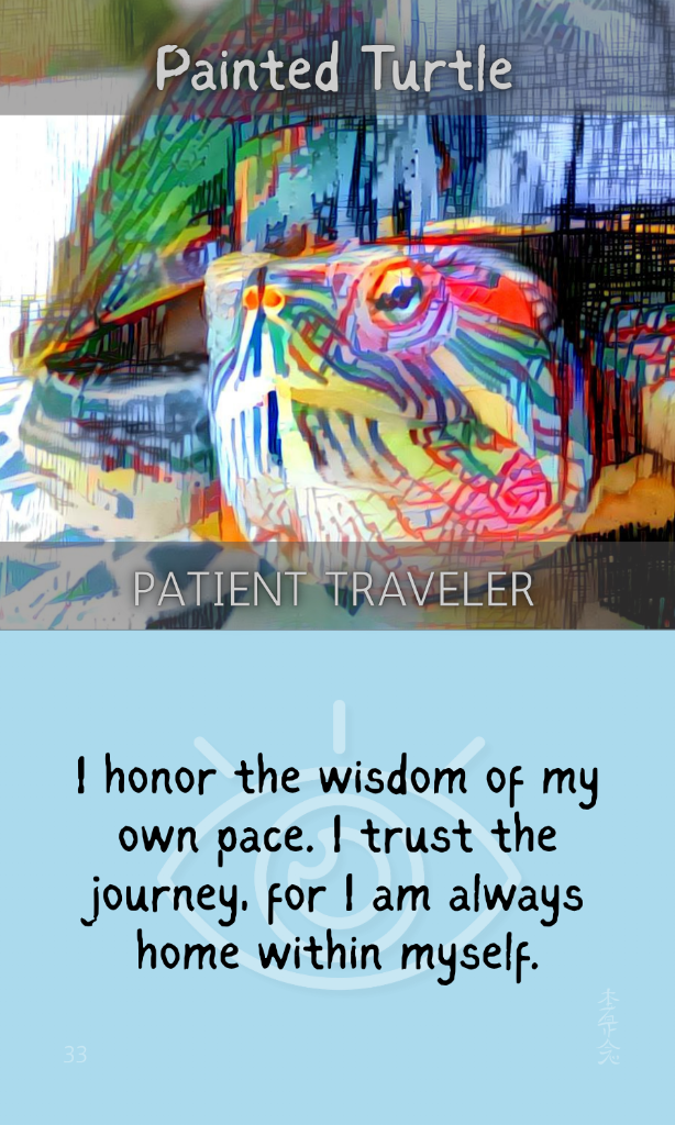 Patient Traveler