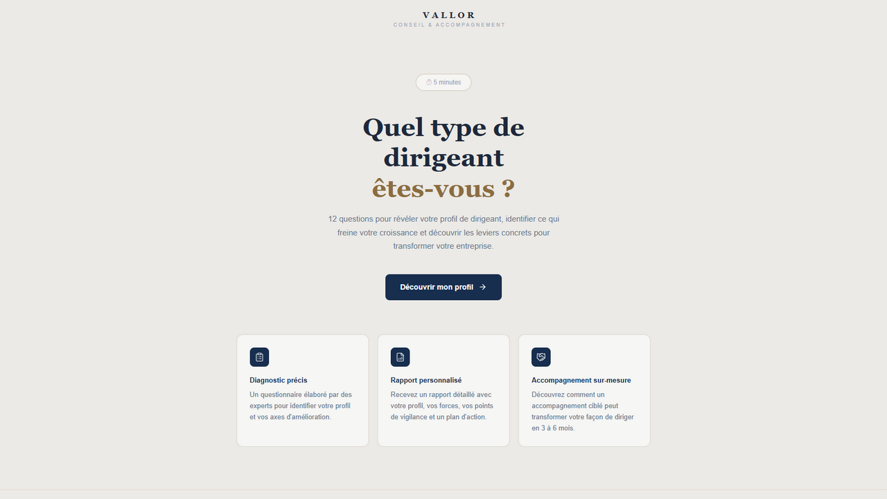 Diagnostic dirigeant - Vallor consulting template preview