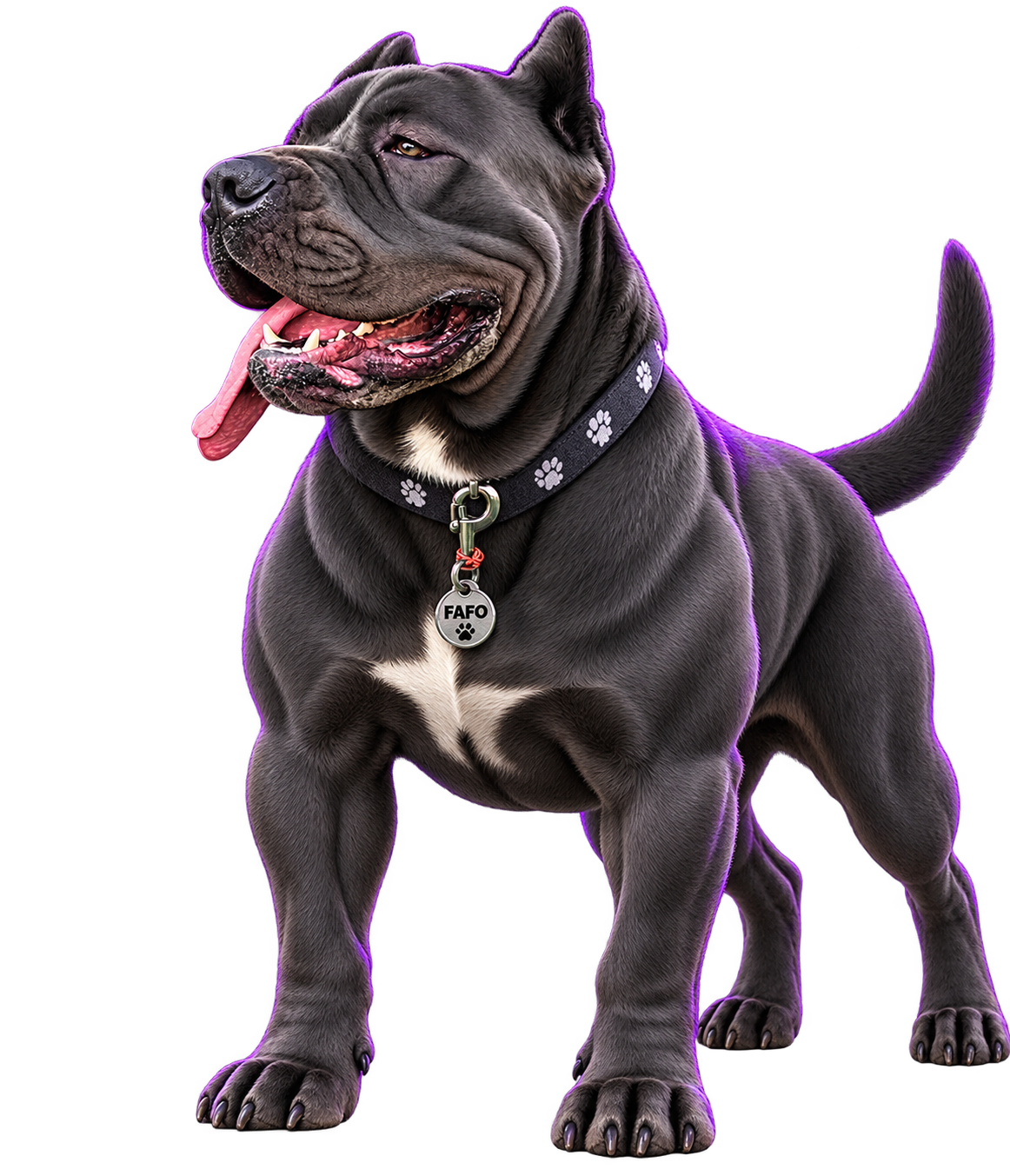 FAFO — chien noir musculeux avec collier à empreintes de pattes et médaille gravée FAFO, halo violet subtil