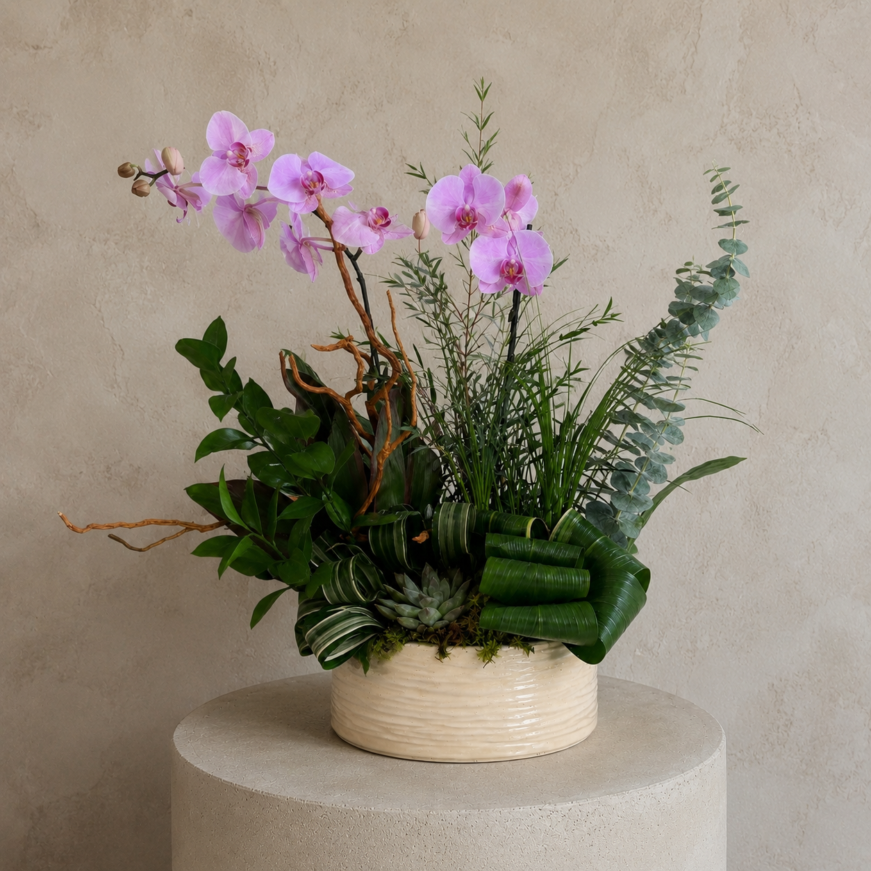 Orquídeas Magenta Atelier