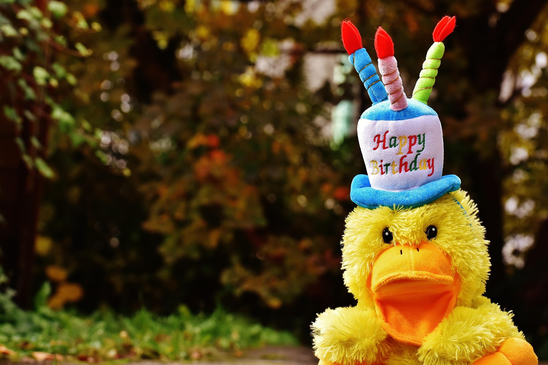 Cumpleaños