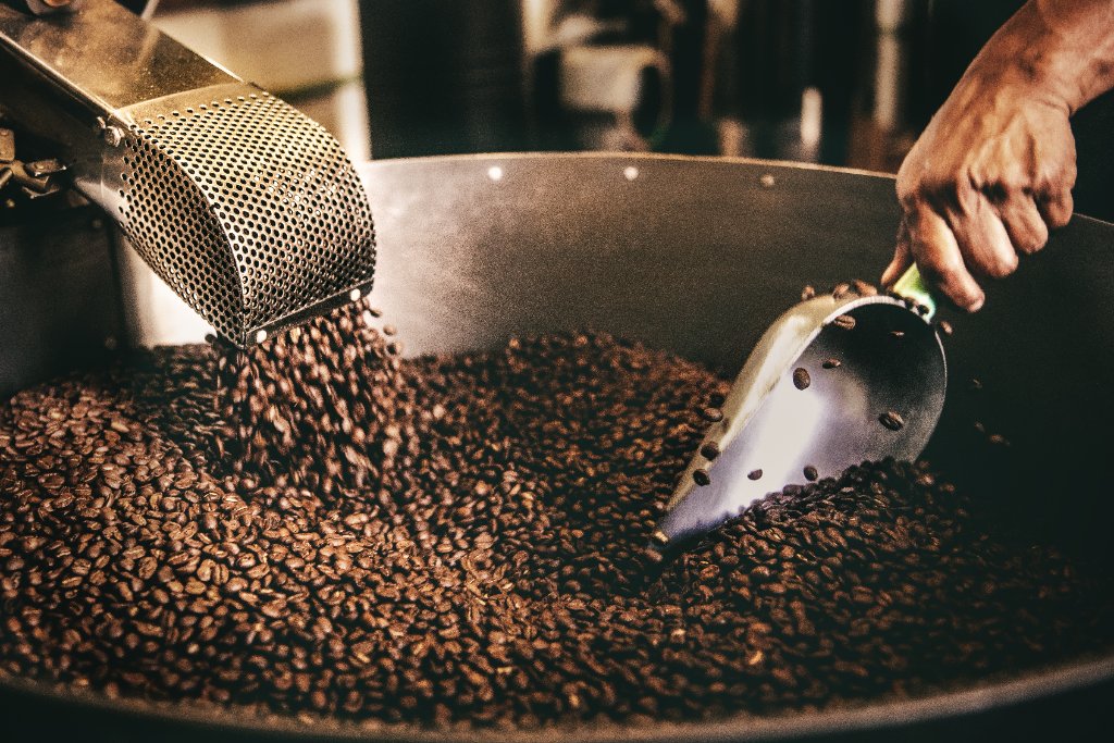 Roasted beans in hopper