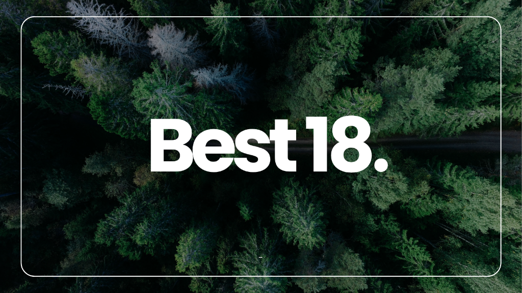 Best18. green coffee beans