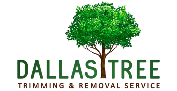 Dallas Tree Trimming & Removal Service