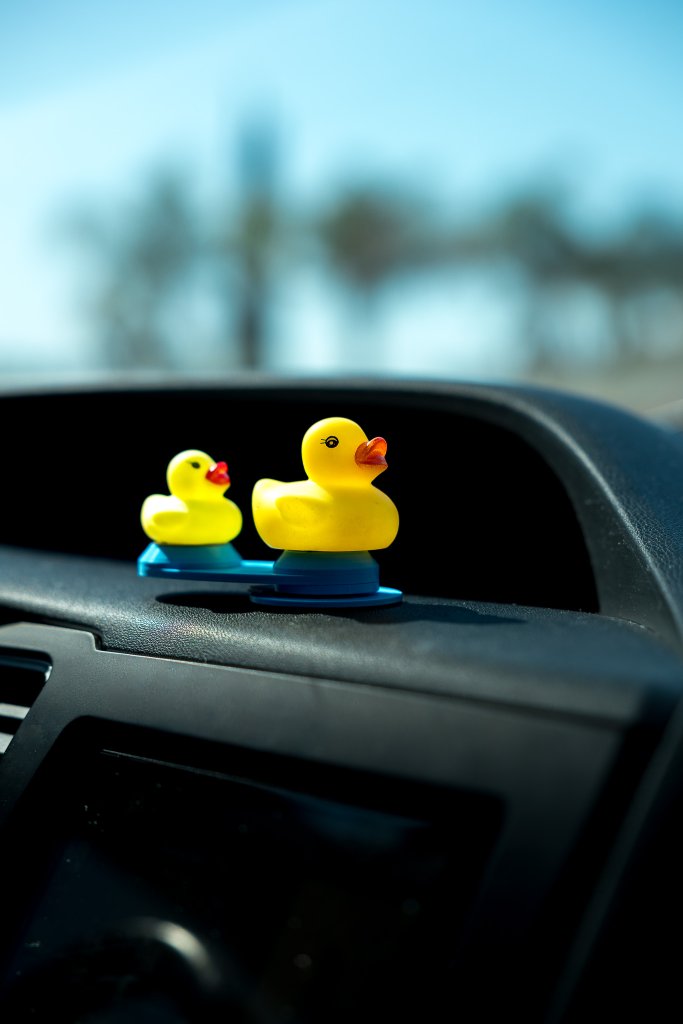 Dash Ducky on car dashboard