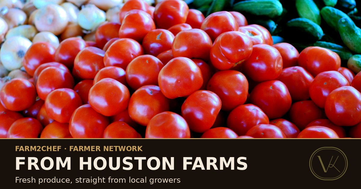 Fresh farmers-market produce — tomatoes, onions, and cucumbers
