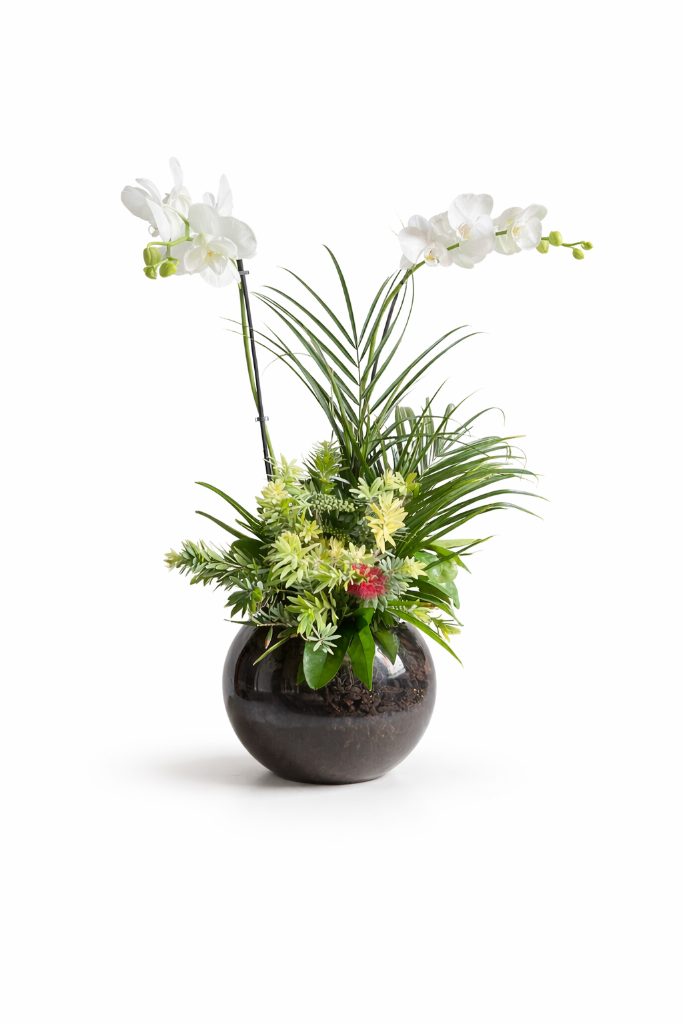 Las Vegas Orchid Tropical Garden — Standard size handmade white congratulations orchid arrangement for same-day flower delivery in Las Vegas, Henderson & Summerlin NV | Bud Weismiller Flowers