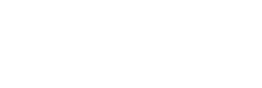 האקדמיה לדירקטורים