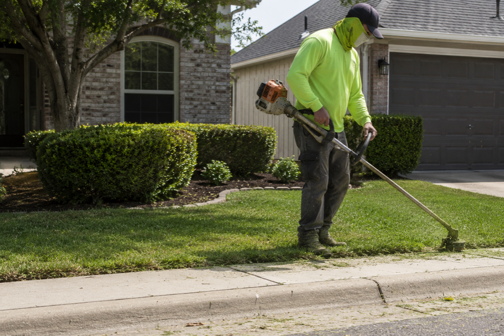 Lawn Mowing & Weed Whacking service