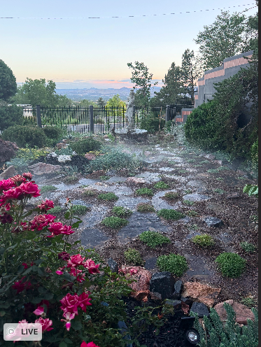 GARDEN SCAPES