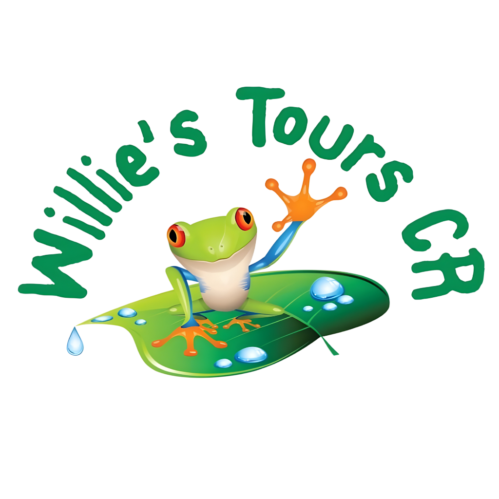 Willie's Tours CR