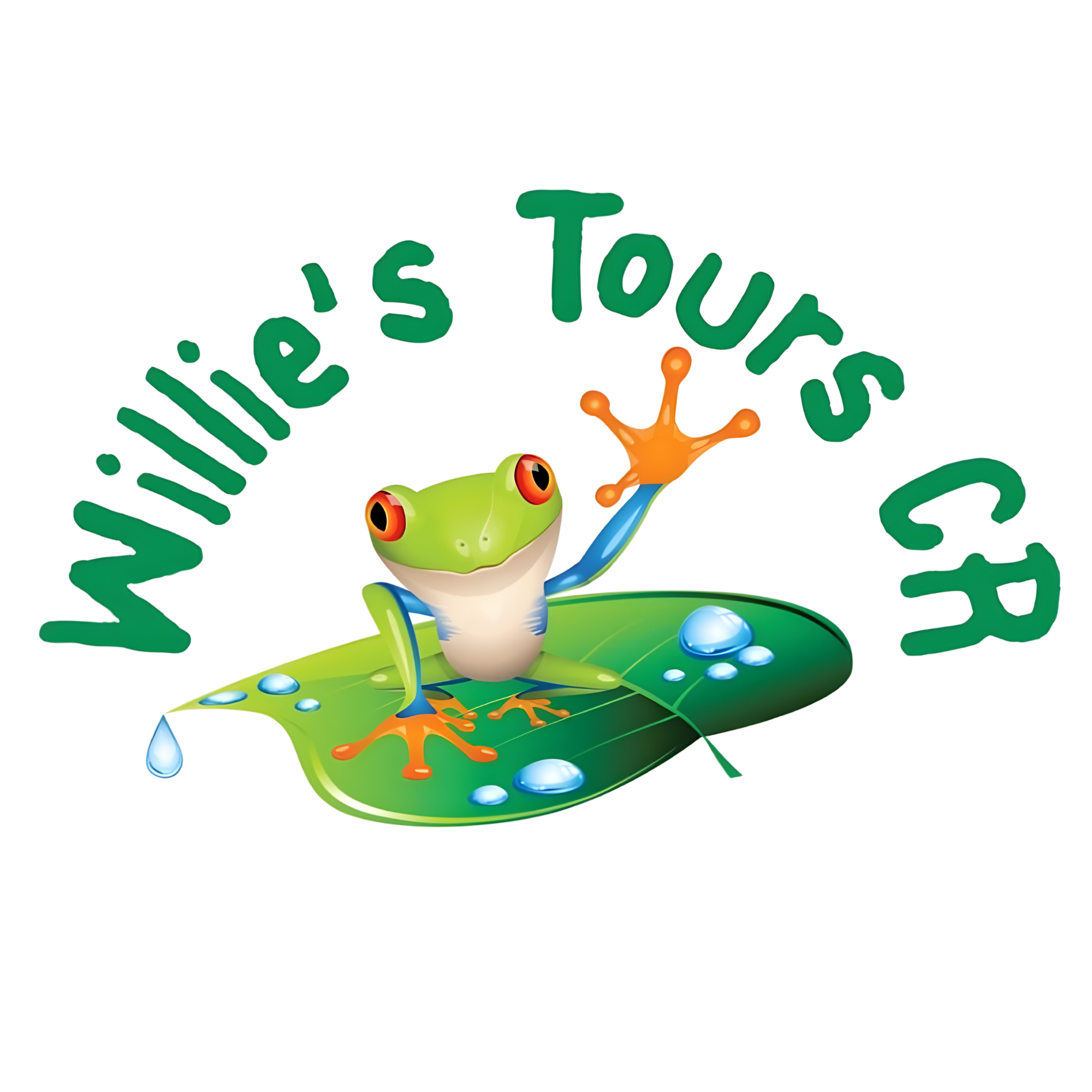 Willie's Tours CR