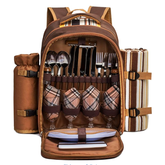 Apollo Walker Picnic Backpack Bag for 4