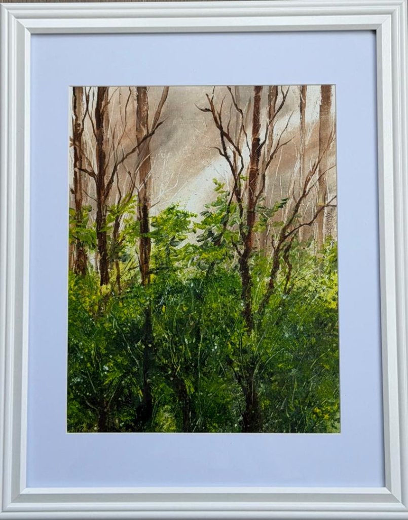 Forest Canopy