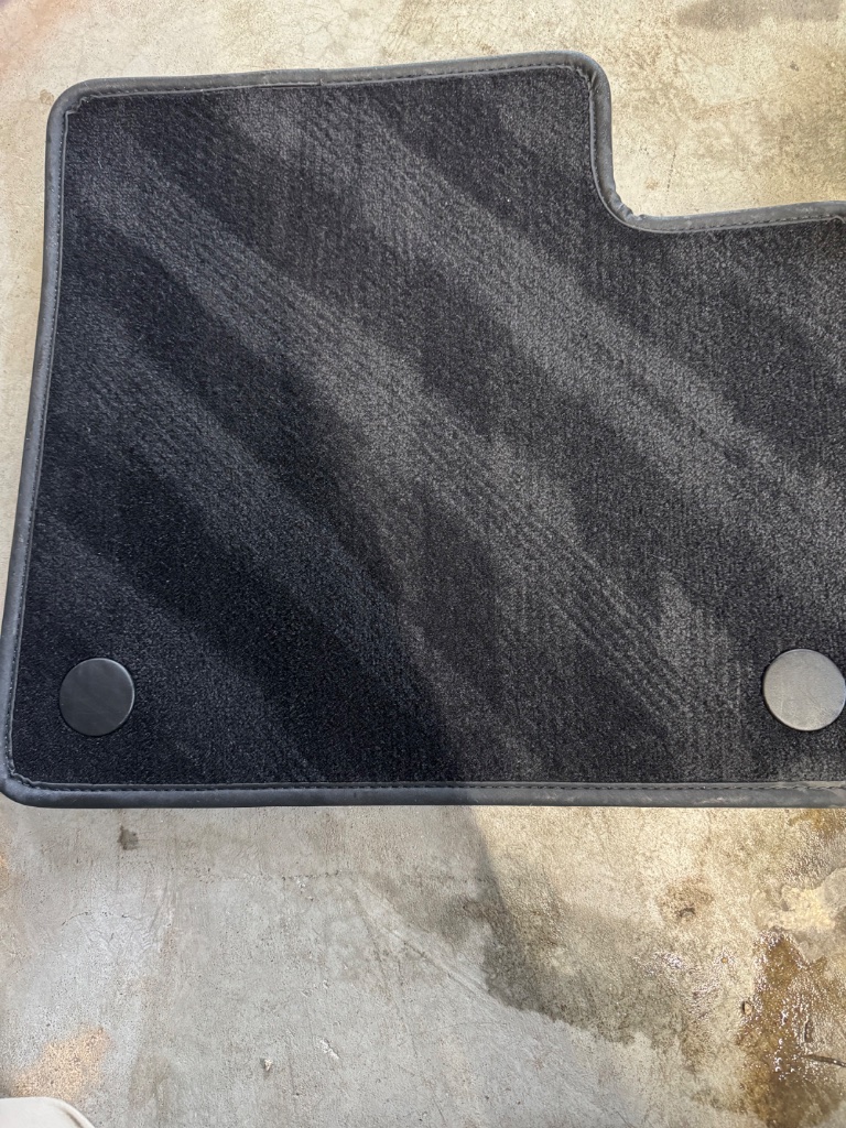 Freshly cleaned floor mat