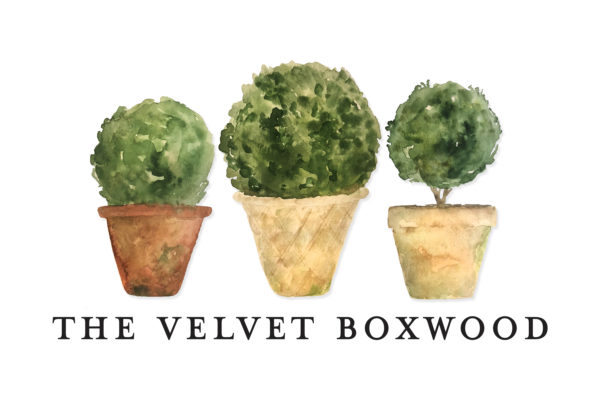 The Velvet Boxwood