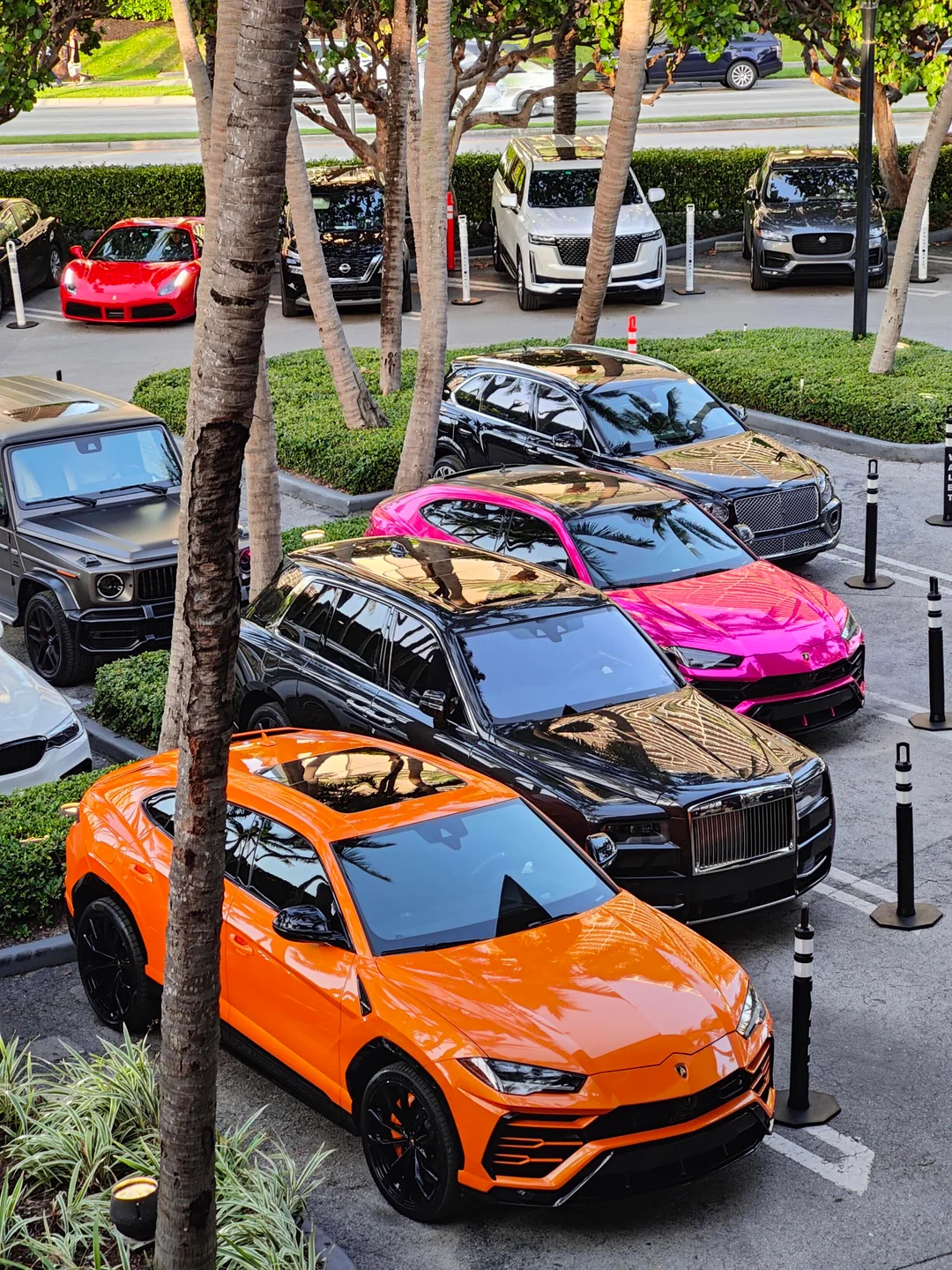 Velor Fleet