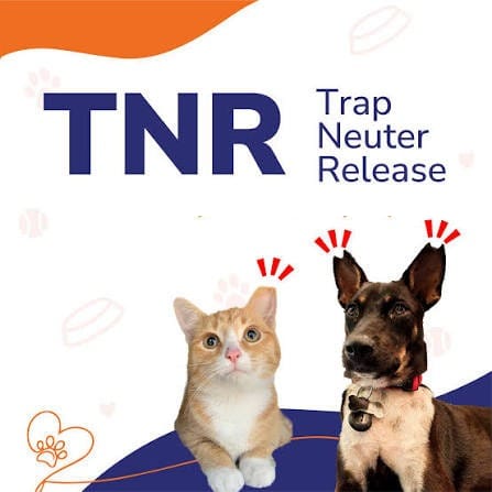 TNR – Trap Neuter Release