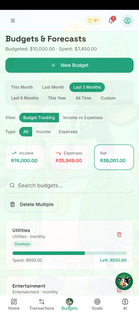📋 Budgets & Forecasts