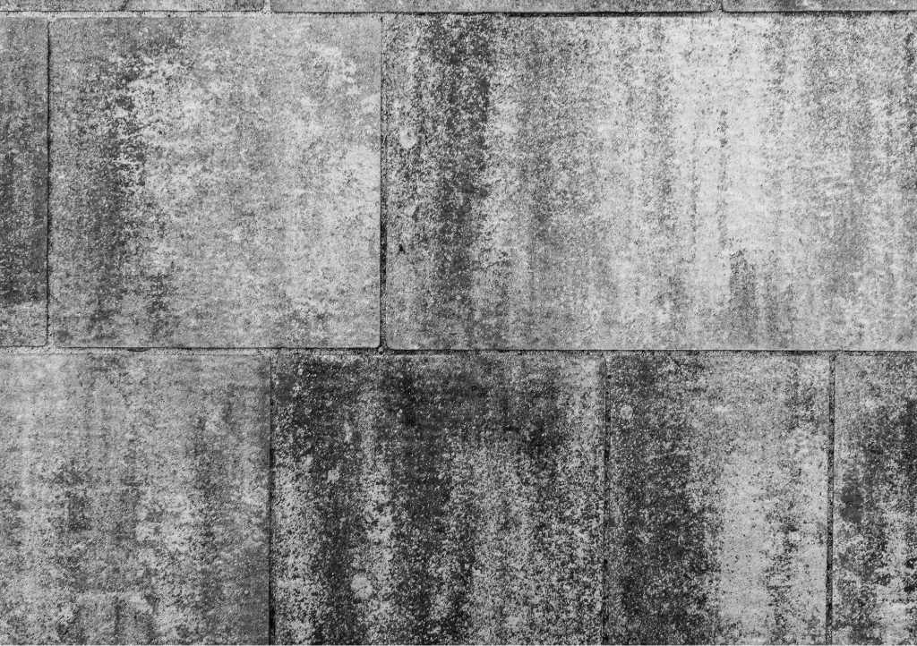 Pourquoi entretenir régulièrement sa terrasse et ses allées ?